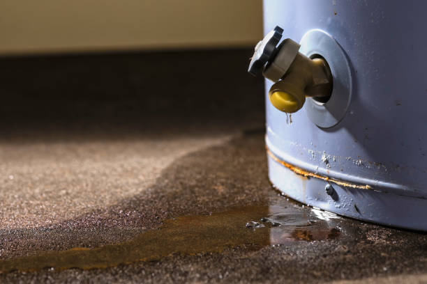 Best Local water damage restoration  in Montrose, CO