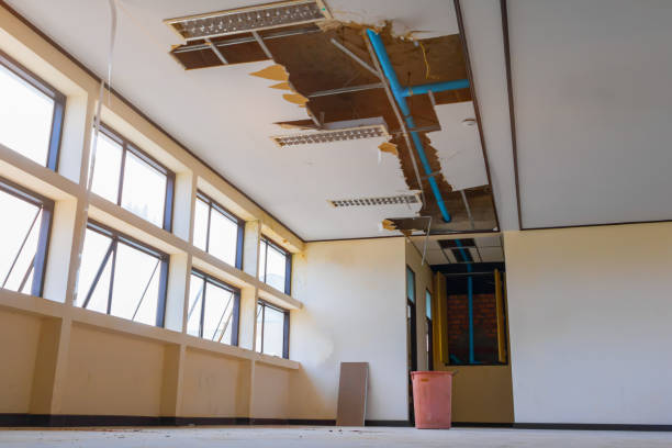 Best 24-hour water damage restoration  in Montrose, CO
