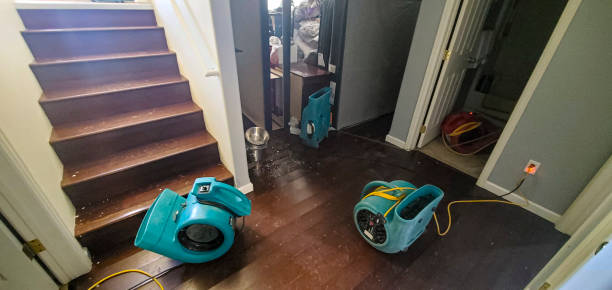 Best 24-hour water damage restoration  in Montrose, CO