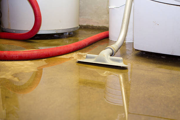 Best Water damage contractors near me  in Montrose, CO