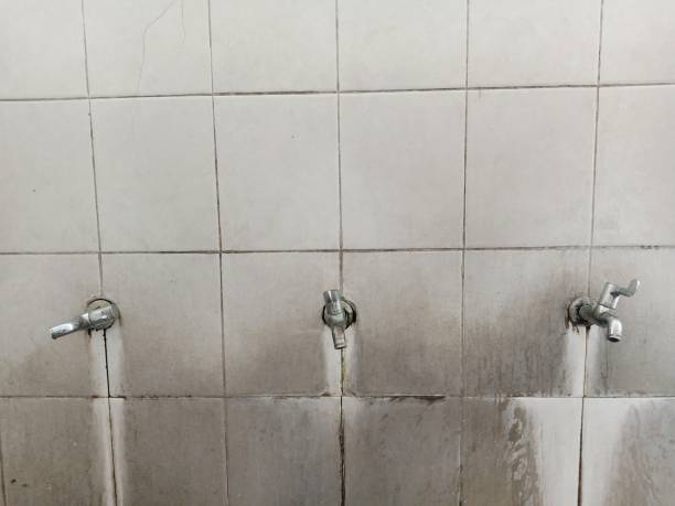 Best Basement water damage restoration  in Montrose, CO