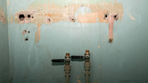 Best Sewage cleanup and water damage restoration  in Montrose, CO