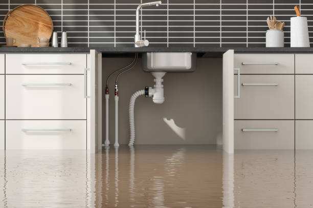  Montrose, CO Water damage restoration Pros
