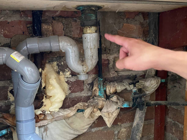 Best Ceiling water damage repair  in Montrose, CO