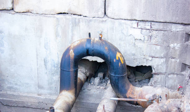 Best Flood damage cleanup  in Montrose, CO