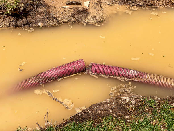 Best Water damage restoration near me  in Montrose, CO