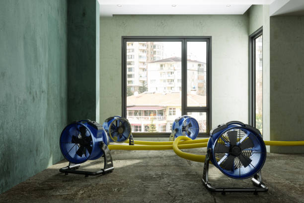 Best Water damage cleanup near me  in Montrose, CO