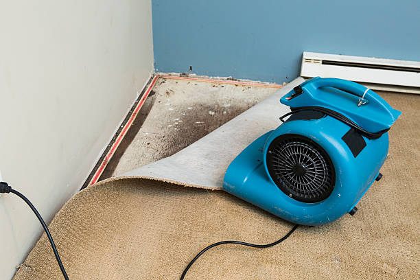 Best Fire Damage Restoration  in Montrose, CO